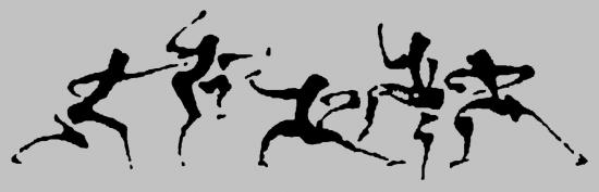 taiji logo